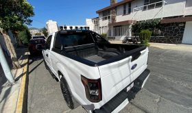 Ford F150 2019