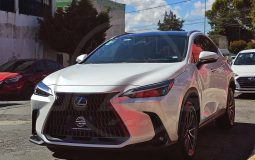 LEXUS NX250 AWD 2023