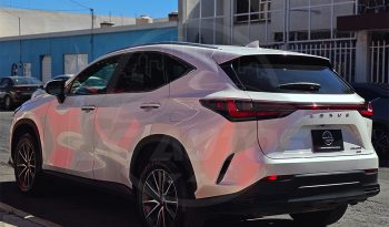 
									LEXUS NX250 AWD 2023 full								
