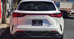 LEXUS NX250 AWD 2023