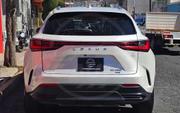 LEXUS NX250 AWD 2023