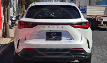 
									LEXUS NX250 AWD 2023 full								