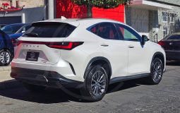 LEXUS NX250 AWD 2023