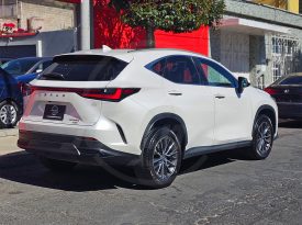 LEXUS NX250 AWD 2023
