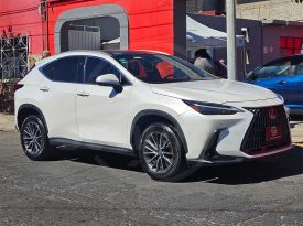 LEXUS NX250 AWD 2023