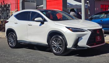 
									LEXUS NX250 AWD 2023 full								